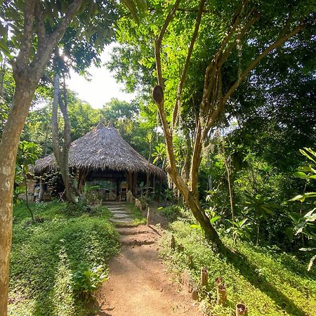 Hostal Paraiso Tayrona Kogui Los Naranjos Bagian luar foto